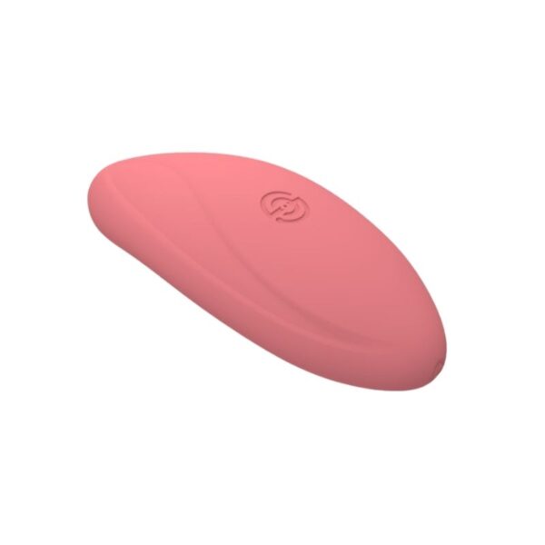 Classic Wearable Panty Vibrator | OEM/ODM